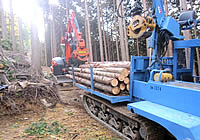 高性能林業機械による間伐材の搬出作業