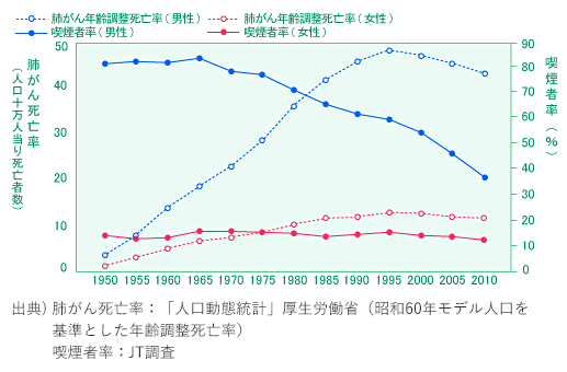 日本における喫煙者率と肺がん死亡率の推移