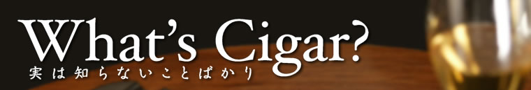 What's Cigar? 〜実は知らないことばかり〜